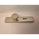0688260521 Würth Schutzbeschlag S 30 72mm Drücker/Knopf F2 Wohnungseingangstür